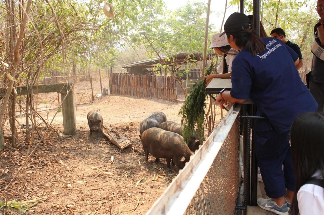 Sappraiwan Elephant Resort & Sanctuary Kaengsopha Exteriör bild