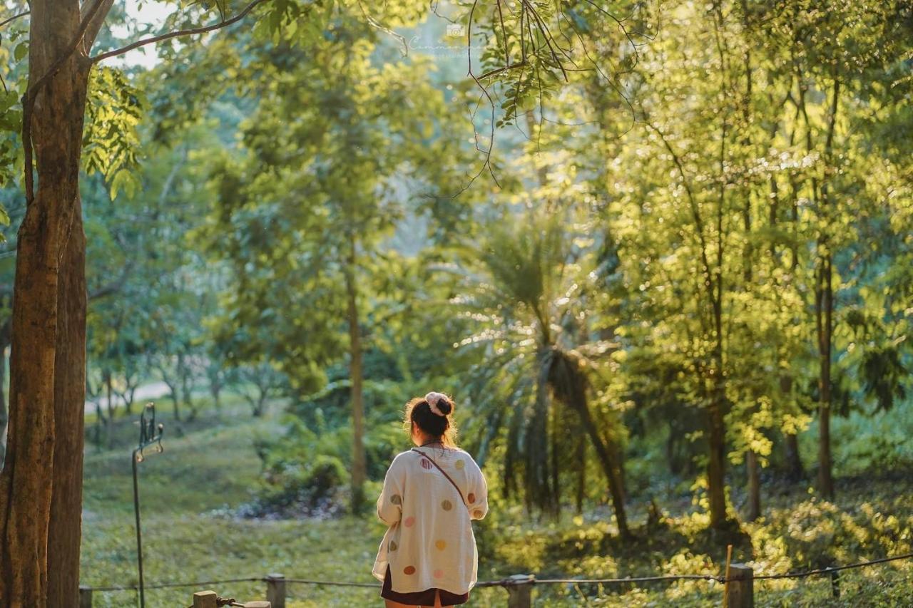 Sappraiwan Elephant Resort & Sanctuary Kaengsopha Exteriör bild
